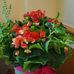 Licano Richard - Facebook