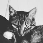 Richard Lipp - @richard_lipp - Instagram