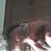 Richard Litzinger - Facebook