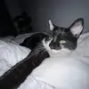 Lizzie - @lizzie_rrichards - TikTok