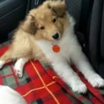 Richard Lok - @rahlok - Instagram