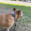 richardlokitesd - @richardlokites - TikTok