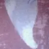 Richard Lombu - @richard.lombu - TikTok