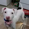 Richard Long - @richard.long71 - TikTok