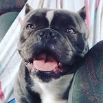 Ricardo Lougedo Abarca - @ricardo_lougedo - Instagram