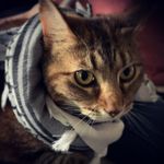 Richard Lowenstein - @strudelcam - Instagram