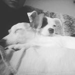 Richard Luckhurst - @richardjluckhurst234 - Instagram
