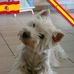 Richard Lukasiewicz - Facebook