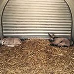 Richard Lusk - @ras_72cal - Instagram