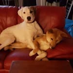 Richard Luxton - @richard.luxton.39 - Instagram