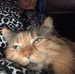 Richard Macaluso - Facebook