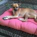 Rick Macaluso - Facebook
