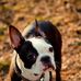 Richard Mahnken - Facebook
