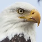 Richard Malik - @gen_xer70 - Instagram