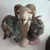Richard Malczewski - @richard.malczewsk - TikTok