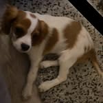 Richard Mallinson - @richard.mallinson - Instagram