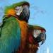 Richard Mallery - Facebook