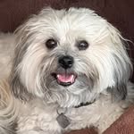 Richard Manco - @thespacedawg - Instagram