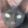 Richard Mangan - @richard.mangan - TikTok