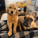 Richard and Susan Schmanke - @richardandsusanschmanke - Instagram