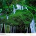 Richard  Marcell - Facebook