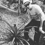 Richard Taqiyy Mayhew - @a_geographers_travels - Instagram