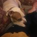 Richard McGrane - Facebook