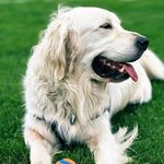 Richard McCrumb - @mccrumbrichard - Instagram