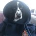 Richard McInnes - Facebook