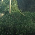 Richard McKeithan - @investka - Instagram
