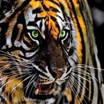 Richard McMillin - @mcmillinrichard - Instagram