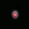 richard_1.3m - @richard_1.3m - TikTok