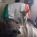 Richard Mc Neight - Facebook