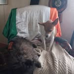 Richard Mc Neight - @richardmcneight - Instagram