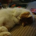 Richard Meech - @richard.meech - Instagram