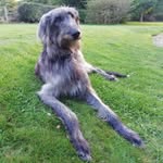 Richard Meeson - @richard.meeson - Instagram