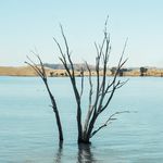 Li Zenghui - @melbourne_film_richard - Instagram