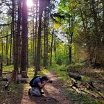 Richard Midgley Macro World - @richard_midgley_macro_world - Instagram