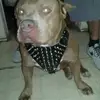 Richard Mireles - @richard.mireles - TikTok