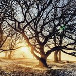 Richard Mock - @dockery - Instagram
