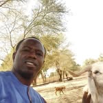 Richard Mone - @richmo6 - Instagram