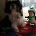 Richard Monteiro - Facebook