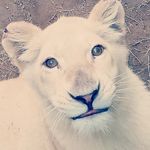 Richard Monzón - @unesrvet_richard.monzon - Instagram