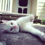 Allan Richard Mullaney - @allanrichardmullaney - Instagram