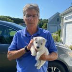 Richard Mulroy - @drmulroy - Instagram