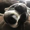 richardmunden690 - @richardmunden69000 - TikTok