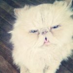 @richardmunk - Instagram