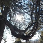 Richard Munson - @ricky.monts - Instagram