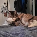Richard Munson - @arm0381 - Instagram