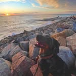 Richard Muriel - @richard.muriel.39 - Instagram